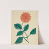 Dahlia (1800s) by Mary Altha Nims