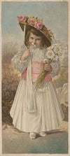 Daisies (1891)