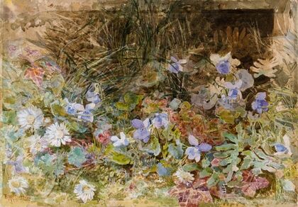 Daisies and Violets