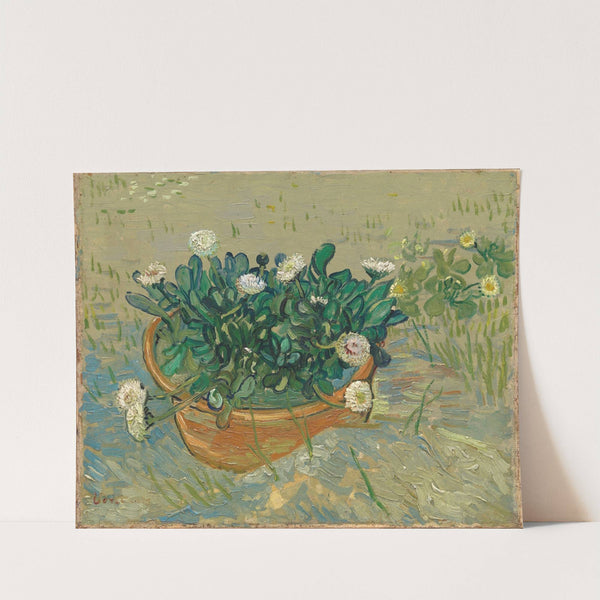Daisies, Arles (1888) by Vincent van Gogh