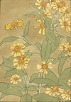 Daisies with Orange Center and Yellow Petals