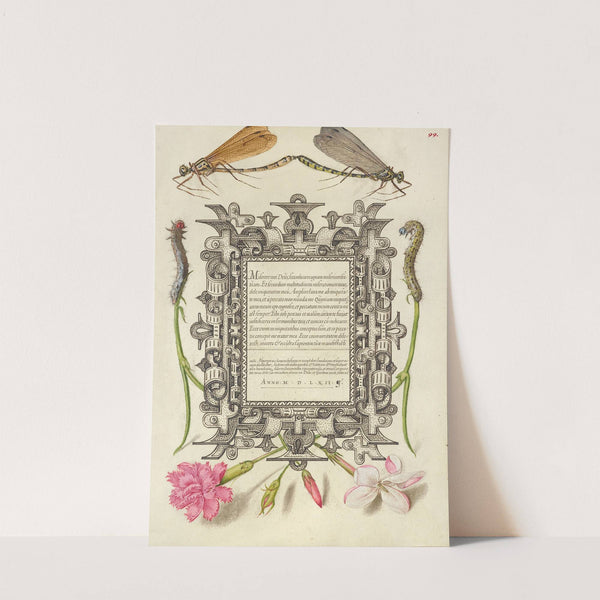 Damselflies, Caterpillars, Carnation, and Poet’s Jasmine (1561–1596) by Joris Hoefnagel