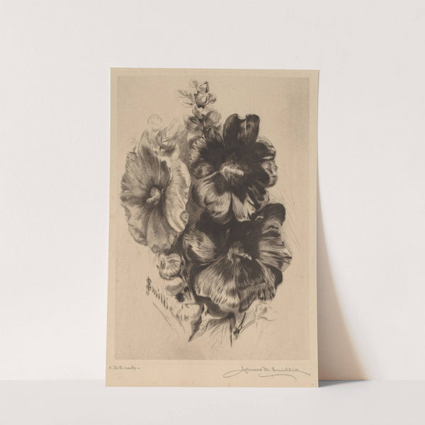Dark Single Hollyhocks (1890) by James David Smillie