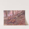 Darwin&#039;s Koklass Pheasant, Styan&#039;s Koklass Pheasant by George Edward Lodge