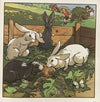 Unsere Haustiere Pl.09