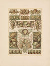 Das Thier in der decorativen Kunst Pl.09