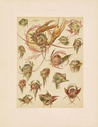 Das Thier in der decorativen Kunst Pl.11