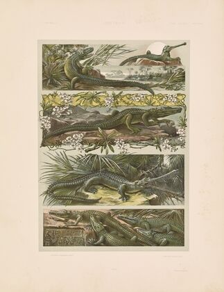 Das Thier in der decorativen Kunst Pl.14