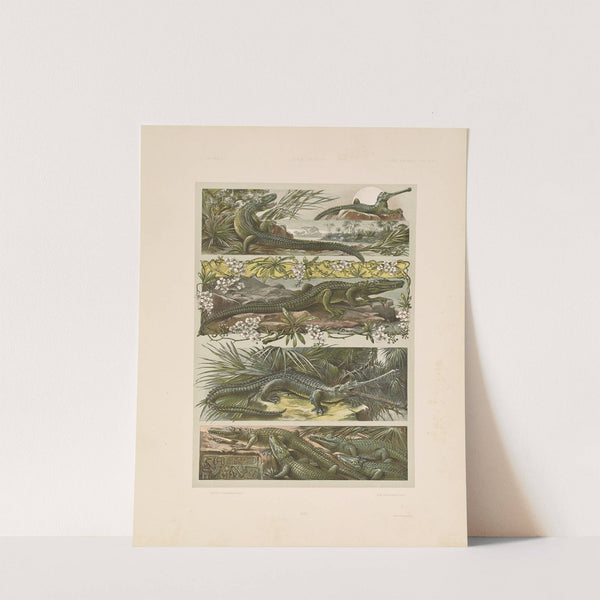 Das Thier in der decorativen Kunst Pl.14 by Anton Seder