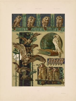 Das Thier in der decorativen Kunst Pl.16