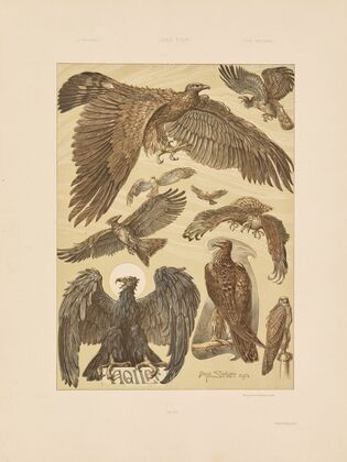 Das Thier in der decorativen Kunst Pl.22
