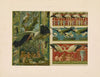 Das Thier in der decorativen Kunst Pl.25