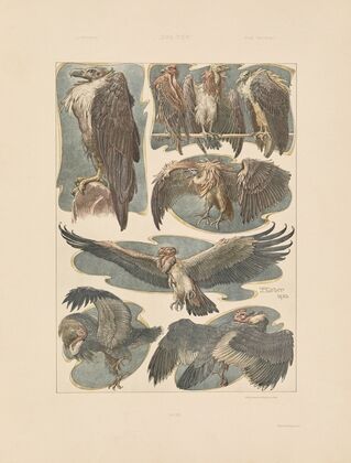Das Thier in der decorativen Kunst Pl.26