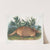 Dasypus Peba, Nine-banded Armadillo. Male. Natural size. (1845-1848) by John Woodhouse Audubon