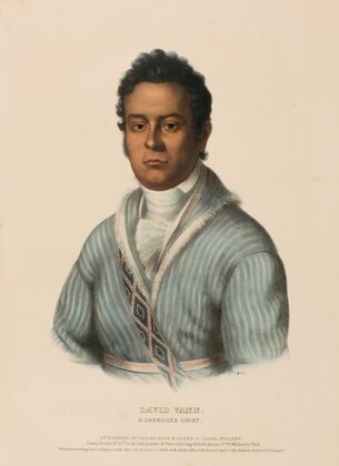 David Vann. A Cherokee Chief