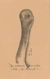 De nieuwe generatie die er komt (1923)