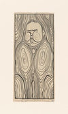 De ontbrekende plank