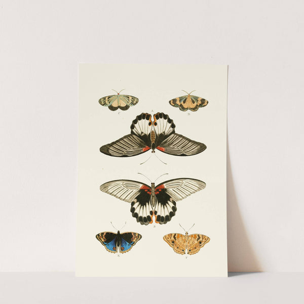 De uitlandsche kapellen voorkomende in de drie waereld-deelen, Asia, Africa en America pl32 (1779-1782) by Pieter Cramer