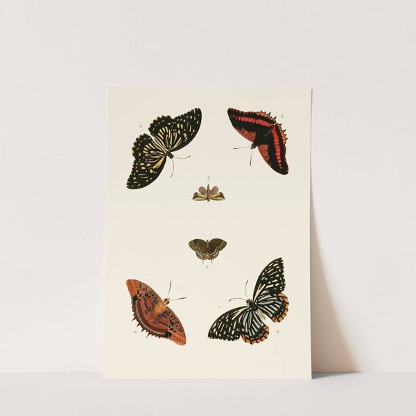 De uitlandsche kapellen voorkomende in de drie waereld-deelen, Asia, Africa en America pl82 (1779-1782) by Pieter Cramer