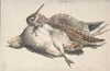 Dead Birds
