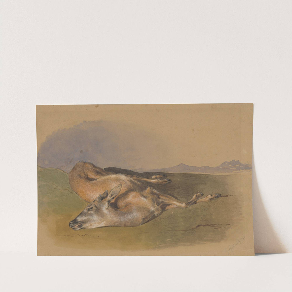 Dead Doe by Friedrich Carl von Scheidlin