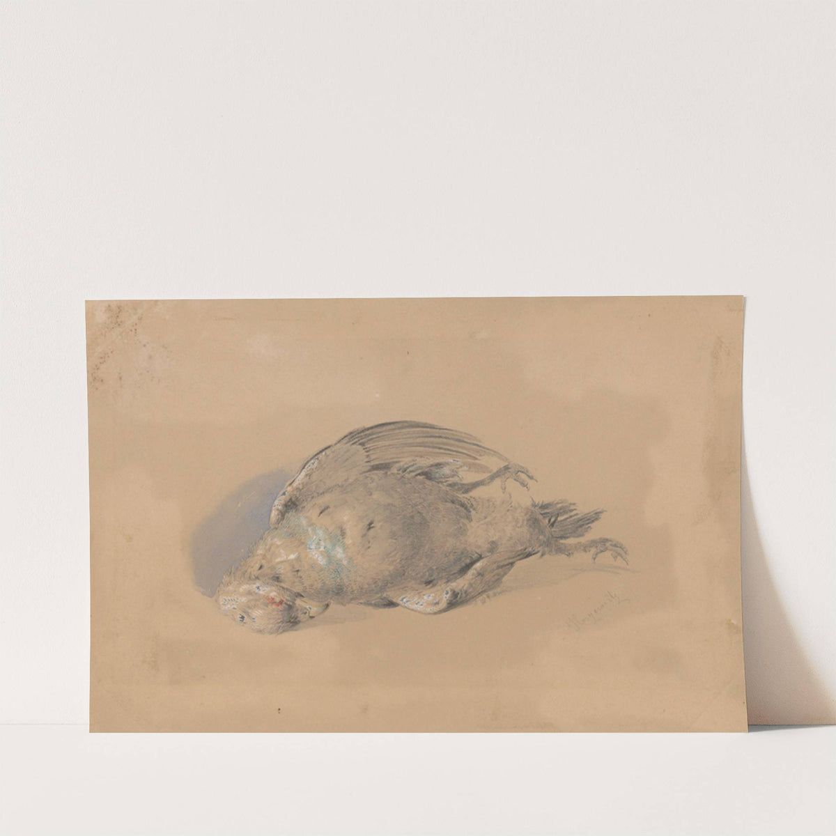 Dead Grouse by Friedrich Carl von Scheidlin