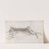Dead Hare by Andrew Geddes
