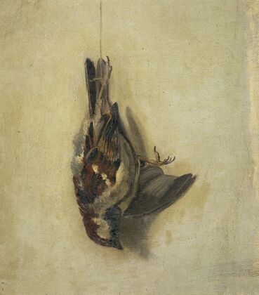 Dead sparrow on a string