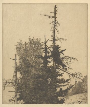 Dead Tops (1912)