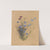 Deborah Griscom Passmore watercolor album Pl.56 (1911) by Deborah Griscom Passmore