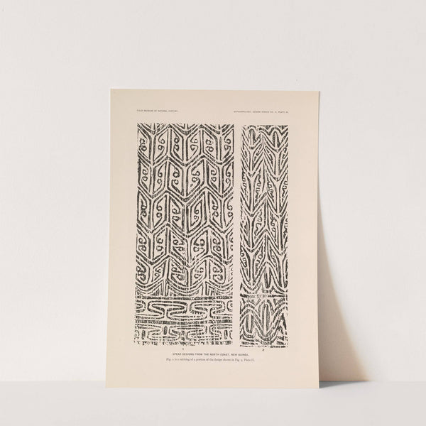 Decorative art of New Guinea Pl.09 by Albert Buell Lewis