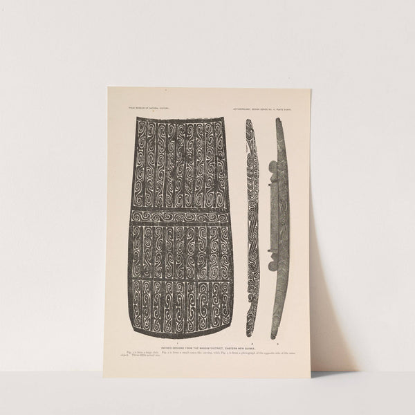 Decorative art of New Guinea Pl.31 by Albert Buell Lewis