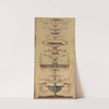 Decorative Panel 6 (1790s) by Pierre Rousseau