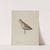 Decoy (c. 1939) by Wellington Blewett