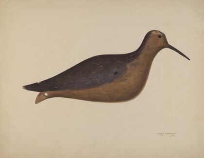 Decoy
