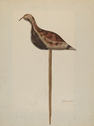Decoy