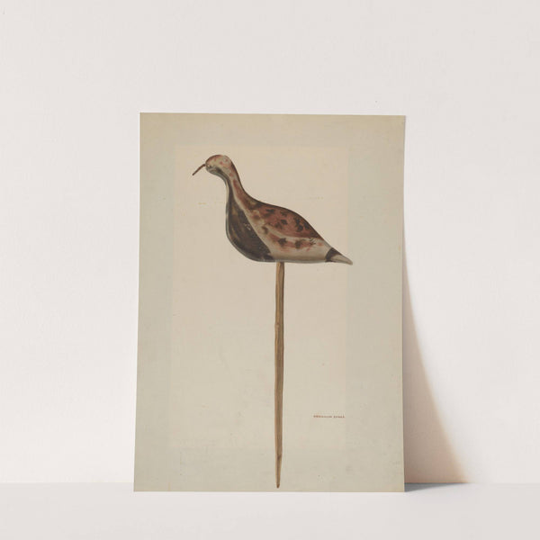 Decoy by Franklyn Syres