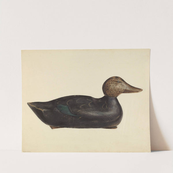 Decoy by Mina Lowry