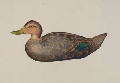 Decoy Duck