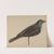 Decoy (Gull) by Mina Lowry