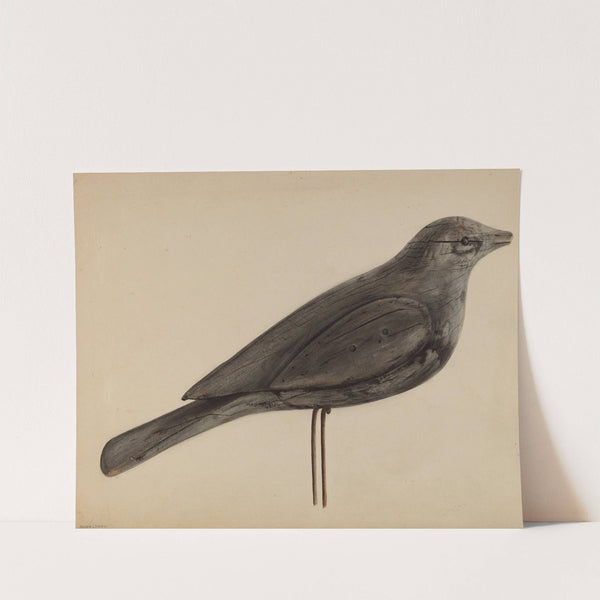 Decoy (Gull) by Mina Lowry