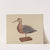Decoy (Hudsonian Godwit) by Samuel W. Ford