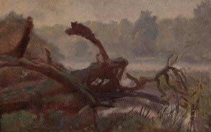 Deep forest – Windthrows, sketch for a painting