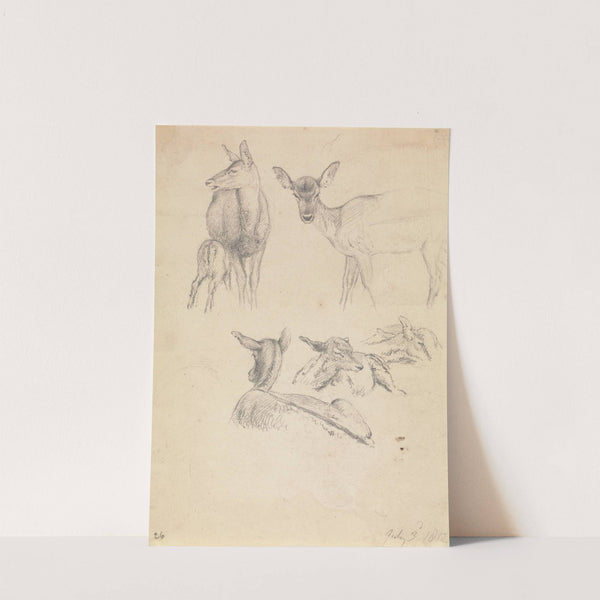 Deer and their Young by Robert Hills