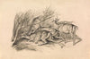 Deer Before a Thicket