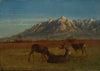 Deer in Mountain Home (1879)