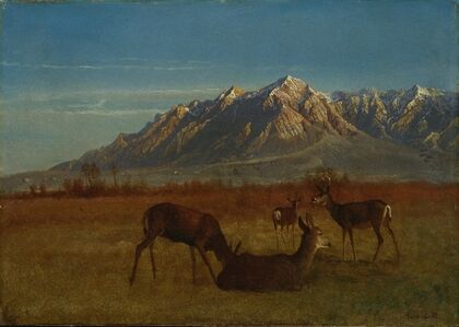 Deer in Mountain Home (1879)