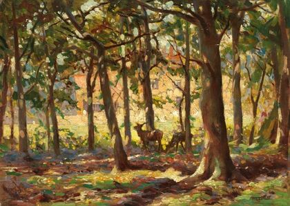 Deer in sunlight copse