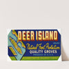 Deer Island Brand Citrus Label (1930-1950)
