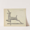 Deer Weather Vane by Salvatore Borrazzo